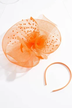 Cato Large Mesh Dot Fascinator> Hats & Hair