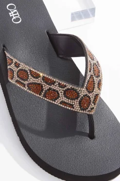 Cato Leopard Embellished Thong Sandals> Sandals