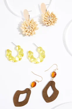 Cato Lucite Raffia Wood Earring Set> Earrings