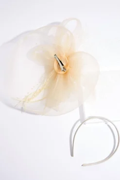 Cato Mesh Flower Feather Veil Fascinator> Hats & Hair