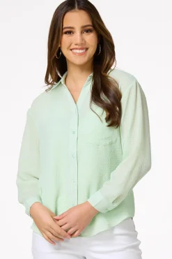 Cato Petite Solid Sheer Button Down Top> Petites|Tops