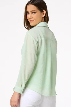 Cato Petite Solid Sheer Button Down Top> Petites|Tops