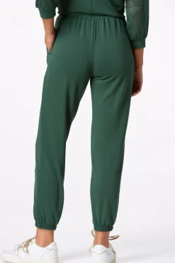 Cato Solid Seamed Front Jogger Pants><noscript><img width=